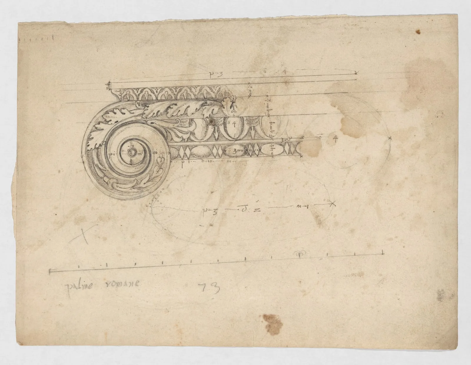 S. Maria in Trastevere, Ionic capital, volute, side elevation (recto) Unidentified, Ionic capital volute, construction diagram (verso)