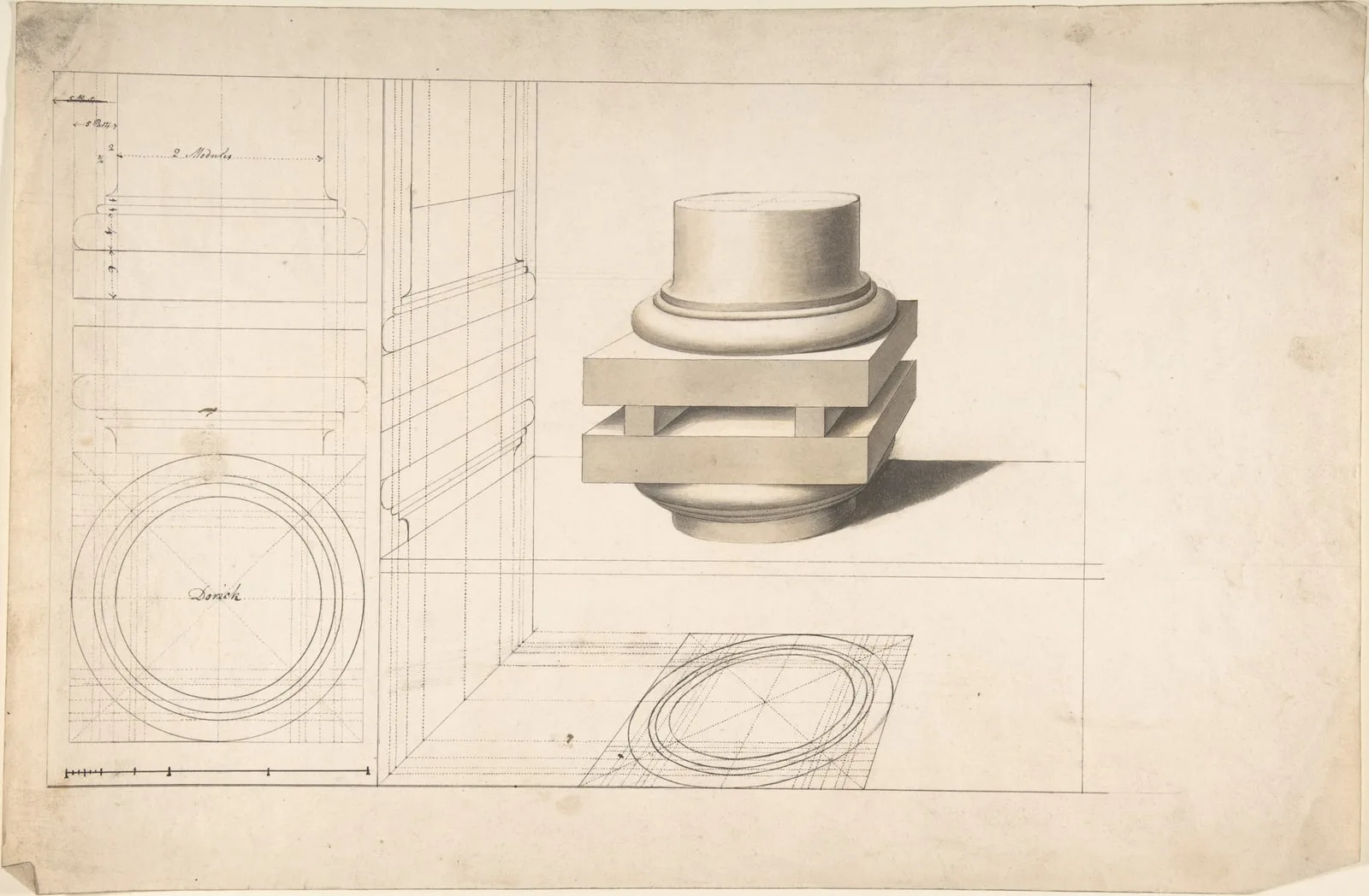 Projections of Columns