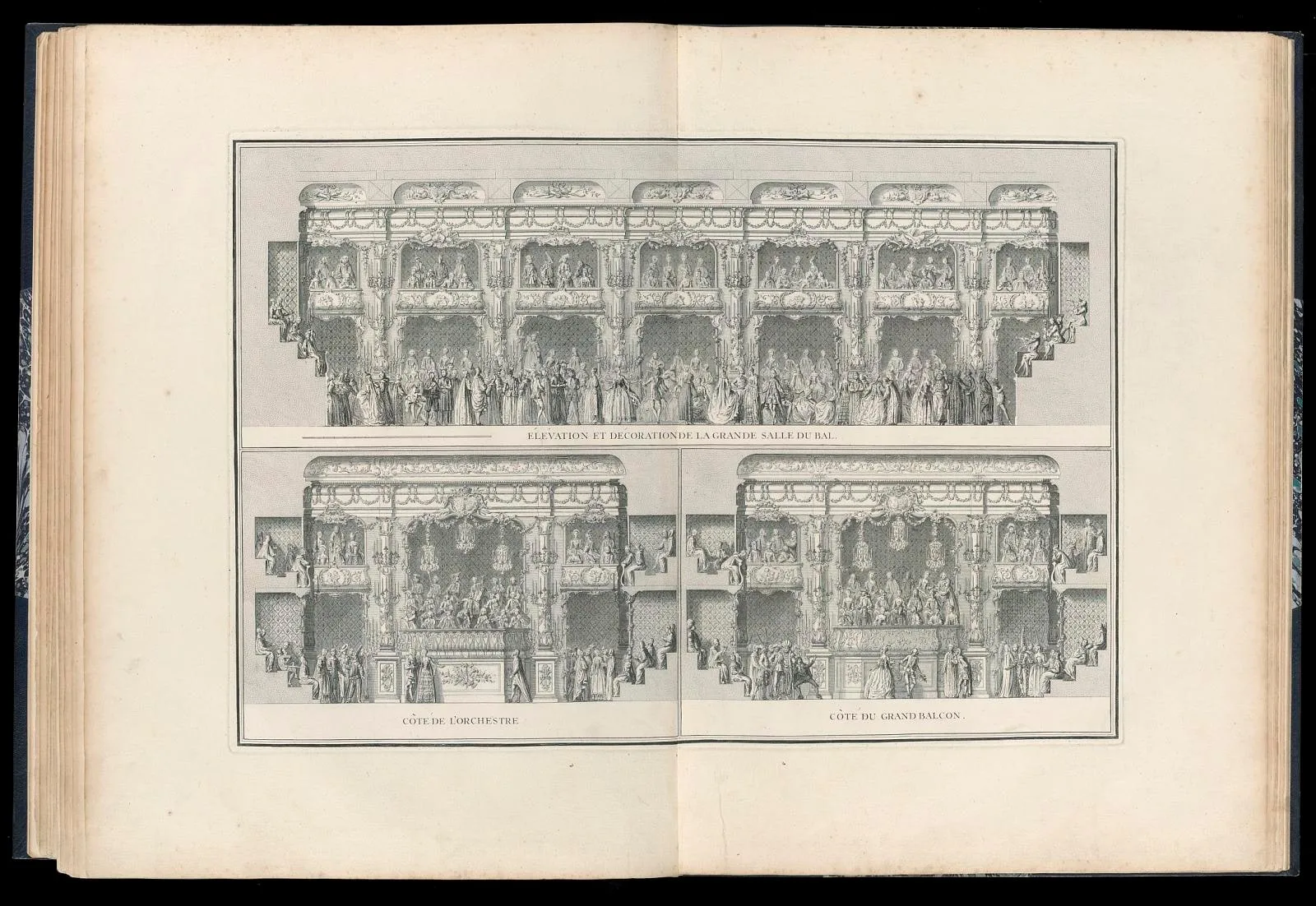 Elevation and Decoration of the Grand Ballroom