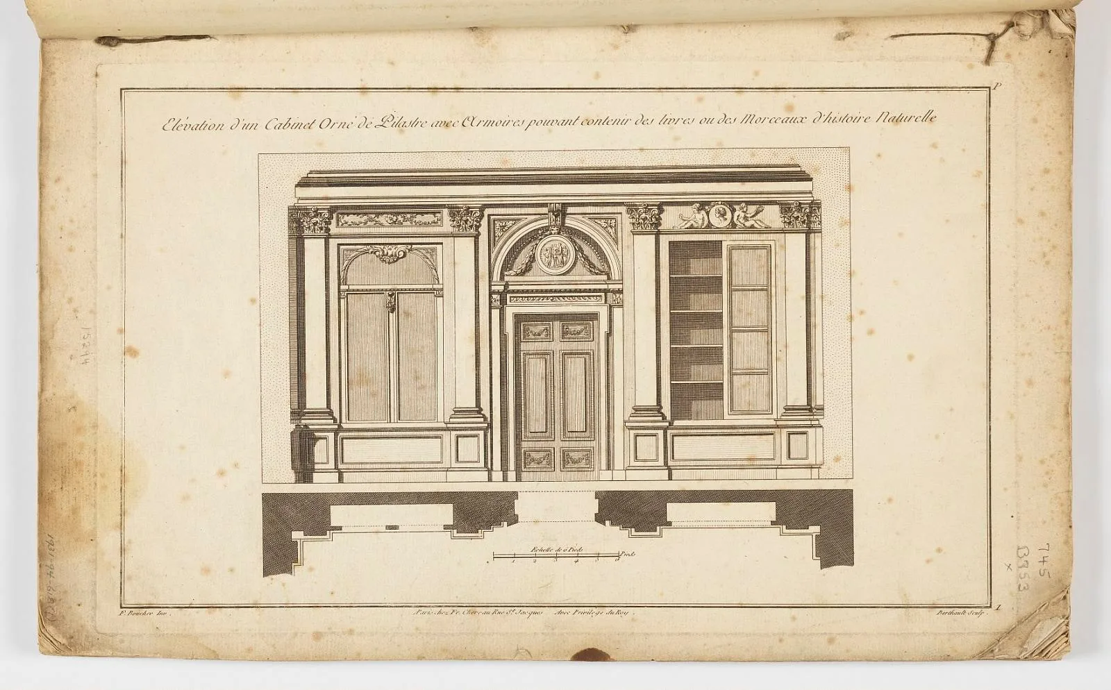 Elevation for a Decorated Cabinet with Shelving for Natural History Books and Objects